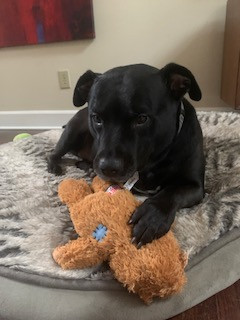 Bubba