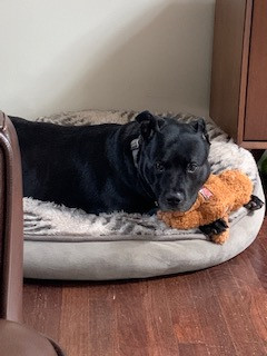 Bubba